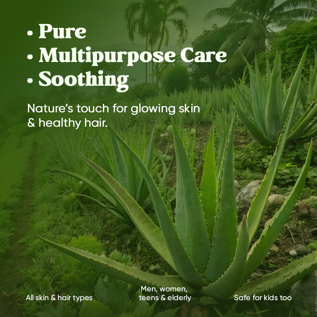 Aloe Vera Gel