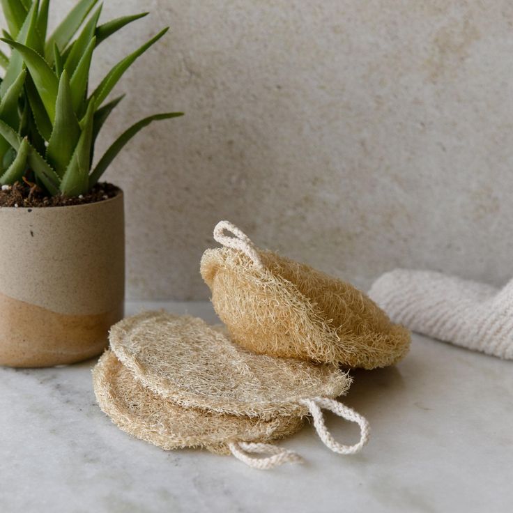 Nature Loofah